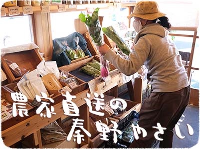 きょうのおやつとコーヒーの秦野産の有機栽培野菜